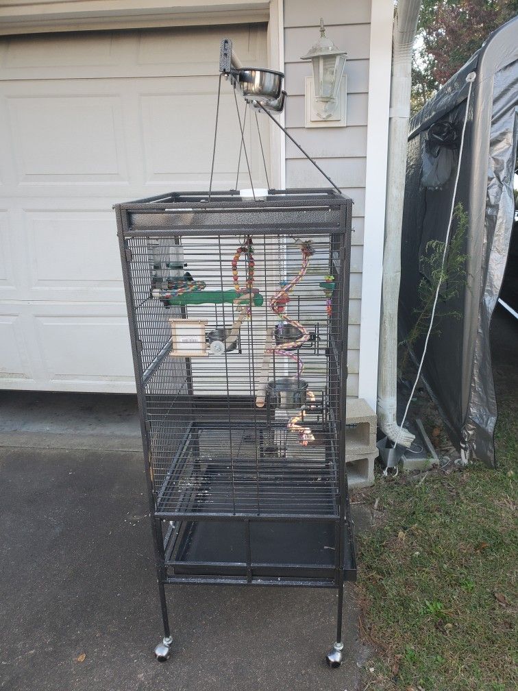 Bird Cage