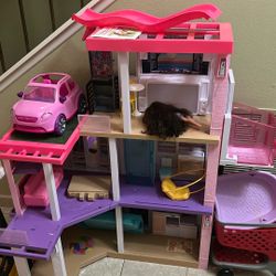 Doll House 