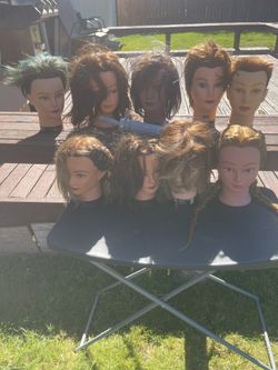 Hairstylist Heads