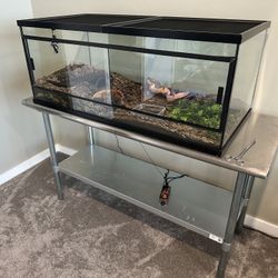 Enclosure For Snake