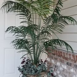 Elegant Beautiful Silk Bamboo with URN Base was Display For Staging House for Sale Only 