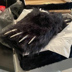 Bear Claw Bravest Studios Slides 