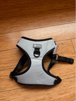 Harness for Small Dogs