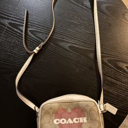 Coach Purse Valentines