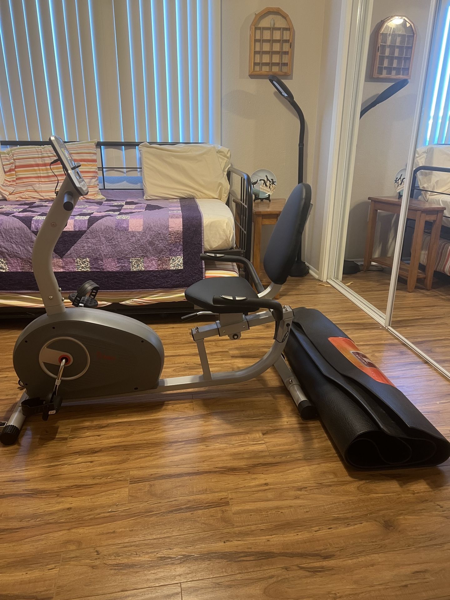 Sunny Magnetic Recumbent Exercise Bike SF-RB4905 With Mat