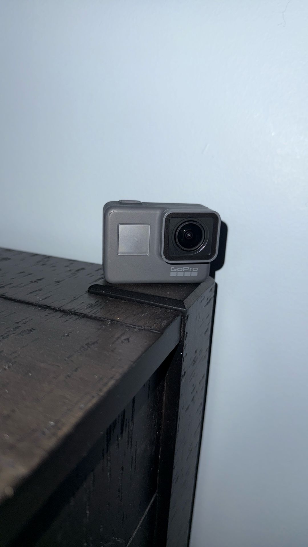 Go Pro Hero 6 (with mounting case)