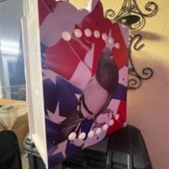 Transportador Para Palomas 