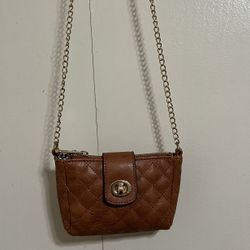 Little Brown Purse