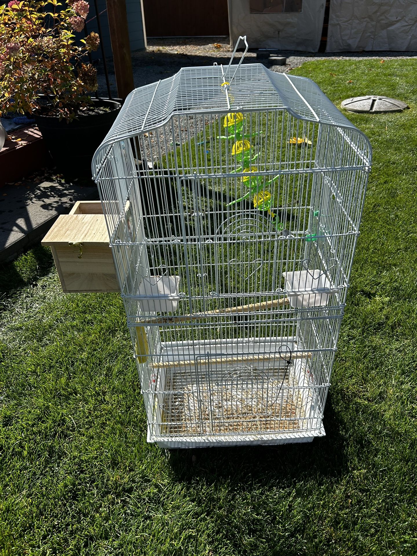 Birdcages