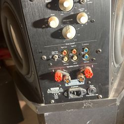 Martin Logan Depth Subwoofer 