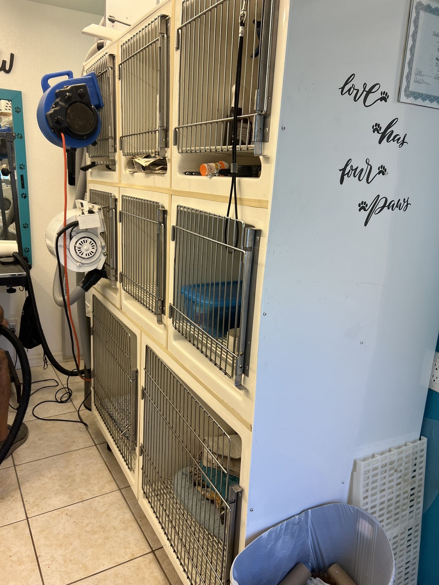 Dog grooming, cages