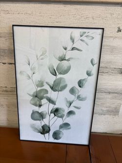 Frames 11x17
