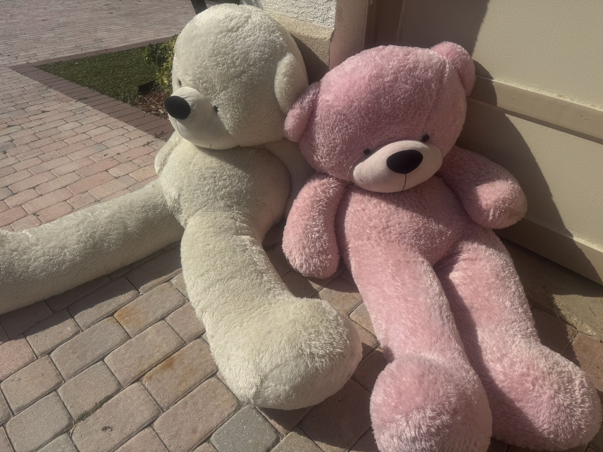 Giant Bears For Sale