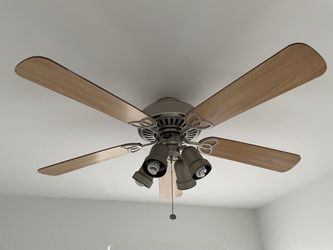 Two Ceiling Fans