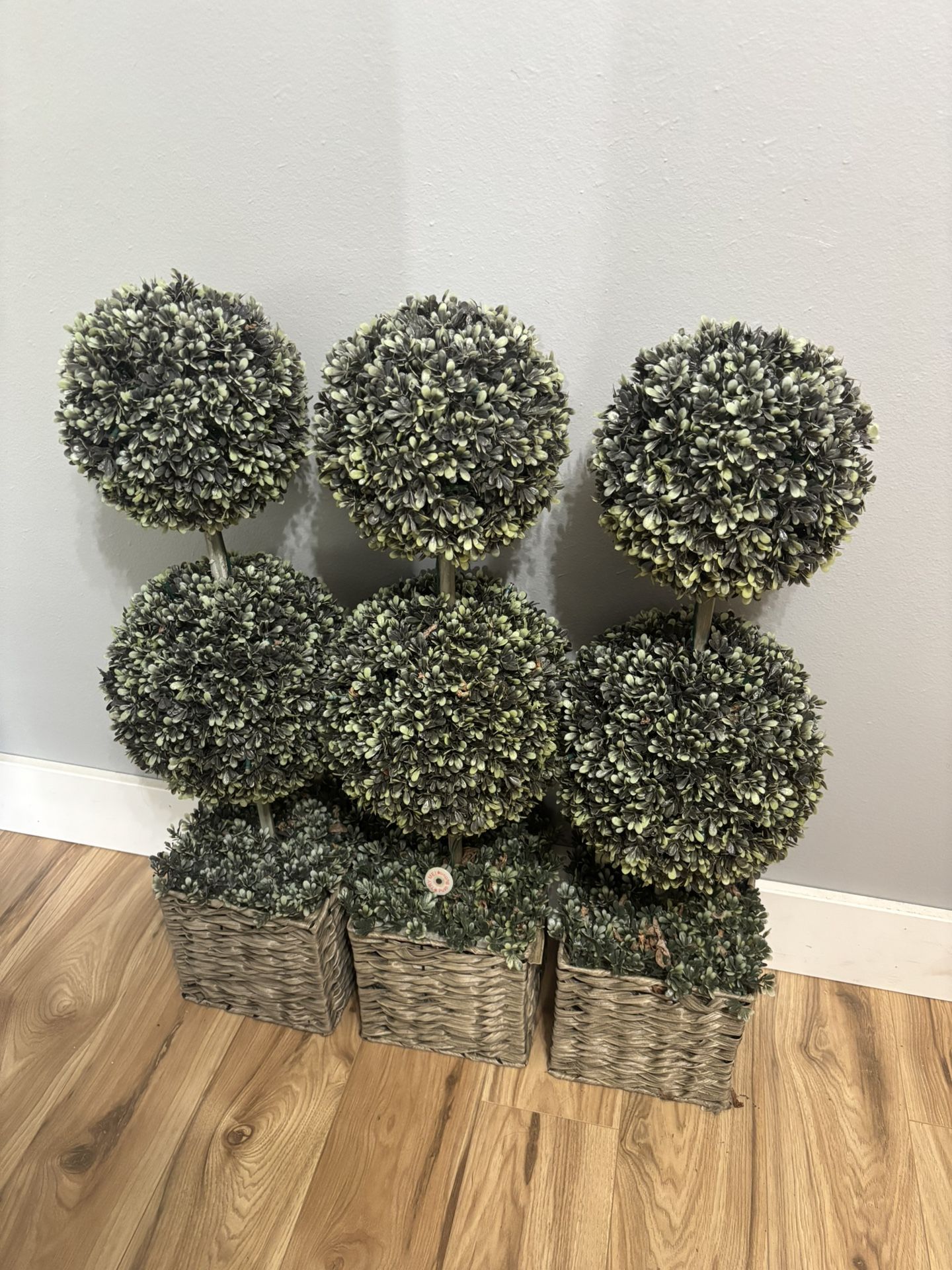 Topiary Trees