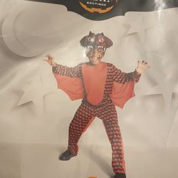 Boys Costumes Sizes 8/10 And 10/12 