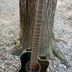 Brand New 5 String Acoustic Electric Bass Guitar 