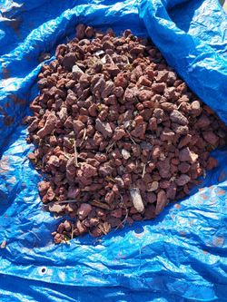 Free Lava rocks