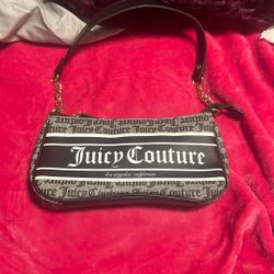 Juicy Couture Purse