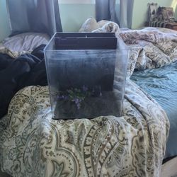 Small Nice Fish Tank Just Needs Filter Pump For It