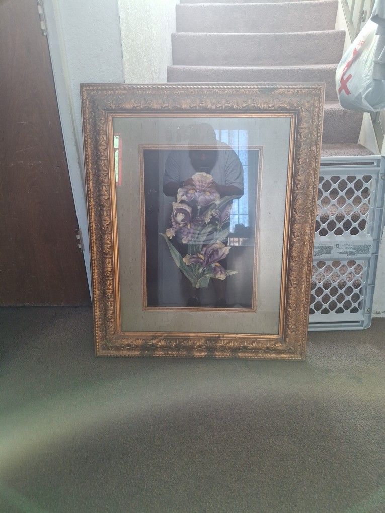 Framed 3D Iris Art Frame