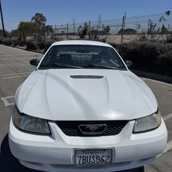 2000 Ford Mustang