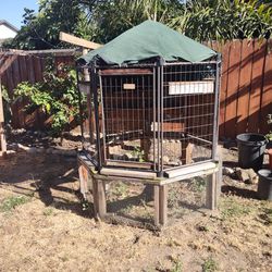 Pigeon Coup, Chicken Coup Or Dog Kennel 