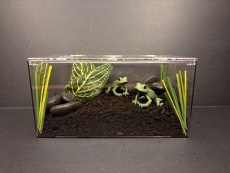Play pretend pet jumping frogs with terrarium