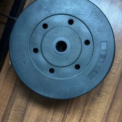  Weight  Plates 20 Lb Each 