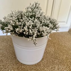 Wedding Bucket With Babies Breath Flowers Cute!