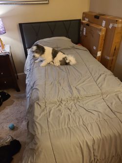 Single bed frame with headboard
