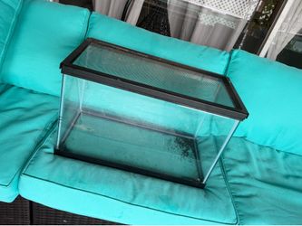 10 gallon aquarium tank