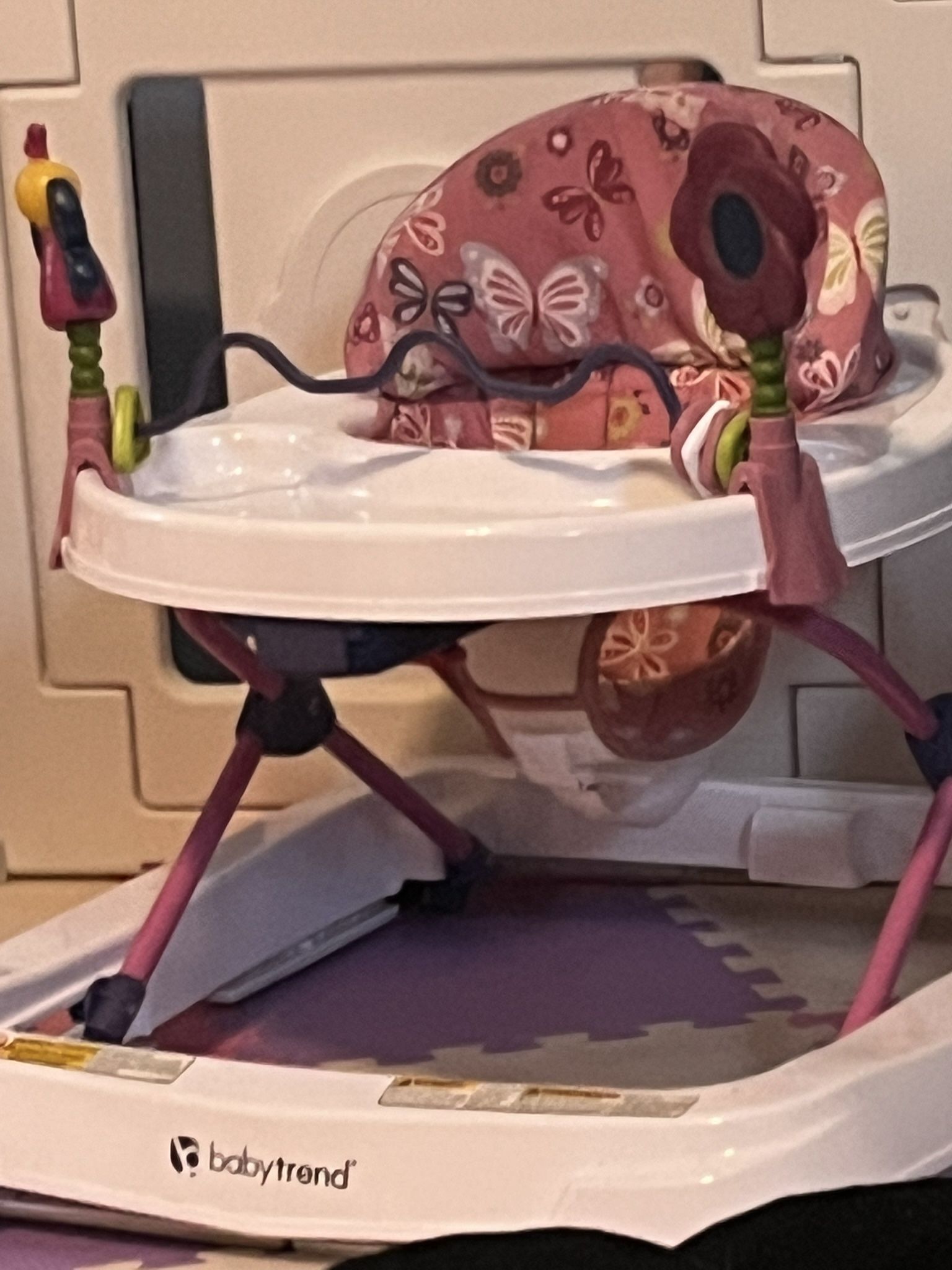 Baby Walker/Roller