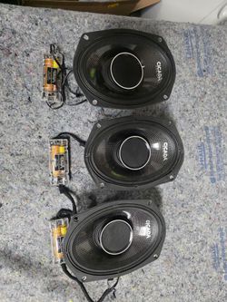 Cicada harley speakers