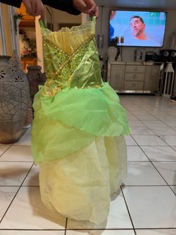 Disney princess Tiana Costume