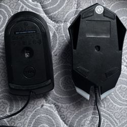 2 Phenomenal Mouse’s 