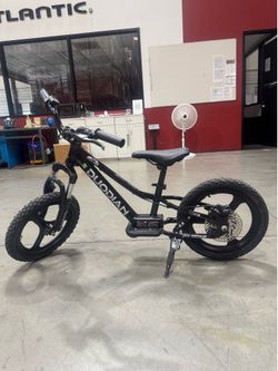 Children‘s electric scooter