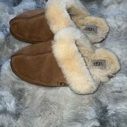 UGG Slippers 