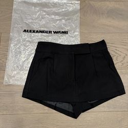 Alexander Wang Skirt - S