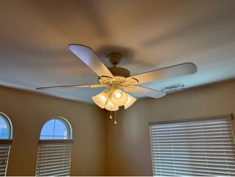 Ceiling fan with lights