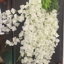 White Wisteria’s Set Of 12