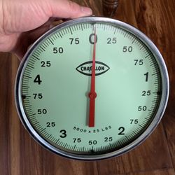 Chatillon Wt10 Hanging Scale