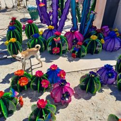 🔥NEW SAGUAROS 🔥Metal Yard Art 🌵Imports😍POTTERY ❗️