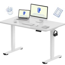 FlexiSpot Electric Standing Desk 48x24 White New in Box