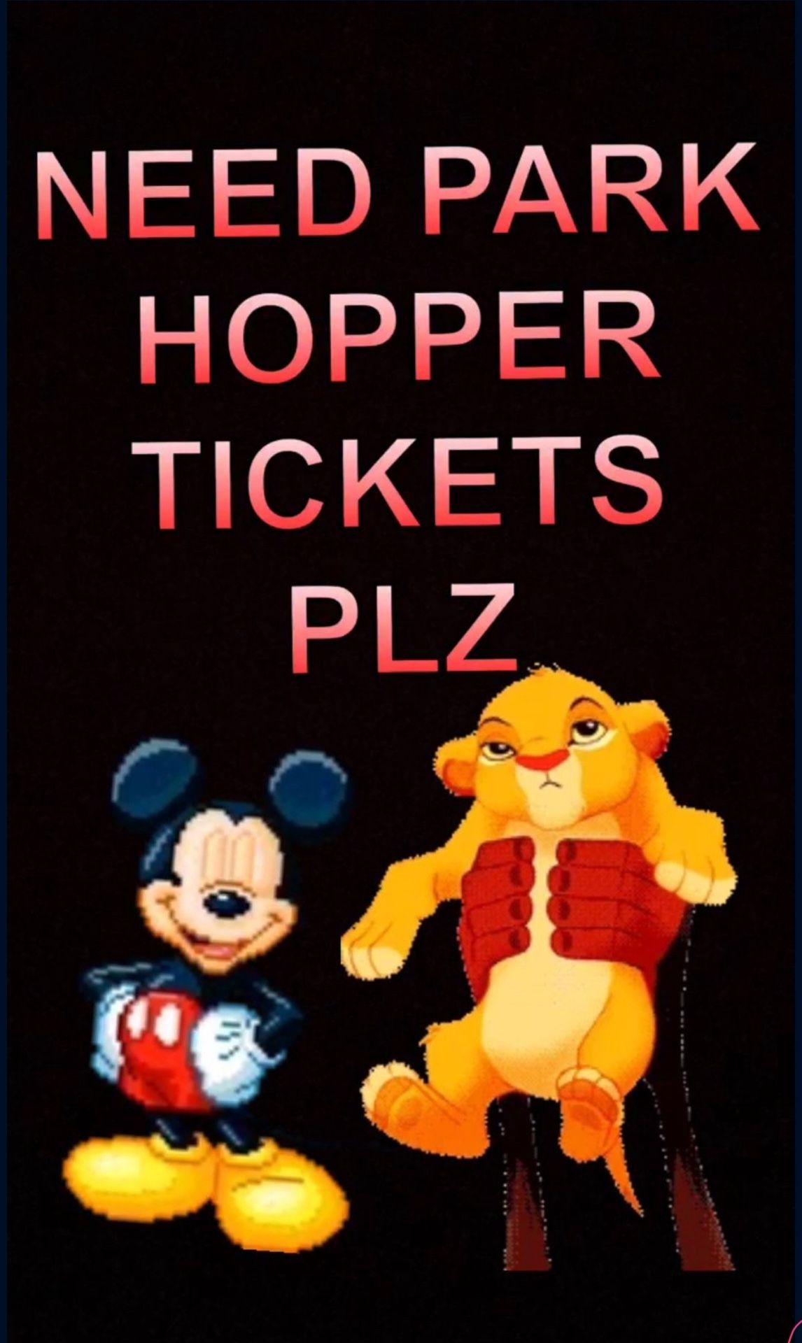 NEED 2 PARK HOPPER TICETS