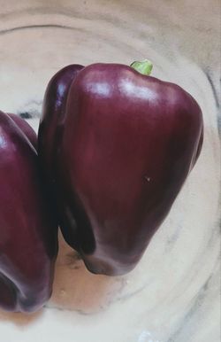 Rare Organic Pinot Noir Purple Pepper Plants! 2026 SEASON!