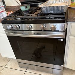 Gas Range Stove
