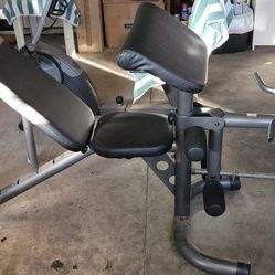 Gold's Gym Bench XRS20 Workout Bench 