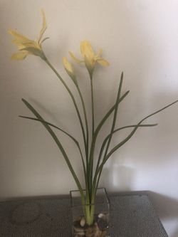 Faux Iris Floral Water look 