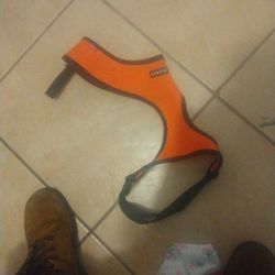 For Dogs Vardy Nice  Dog Harness